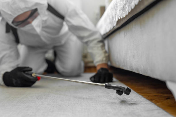 Professional Bed Bug Control technician working in Nazareth College, NY