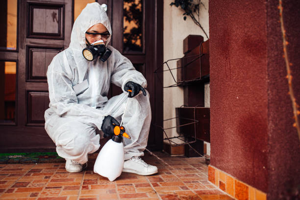 Reliable Bed Bug Control contractor in Nazareth College, NY by Nex Pest Control