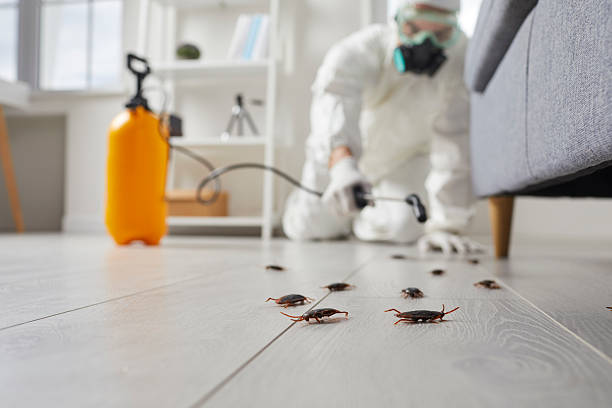 Trusted Cockroach Control service in Nazareth College, NY - Nex Pest Control