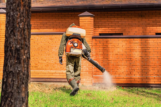 Trusted Emergency Pest Control service in Nazareth College, NY - Nex Pest Control